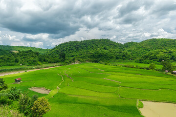 Beautiful green rice fields with mountain in the morning. Wonderful rainy time landscape in mountains. rural scenery. Nature background.