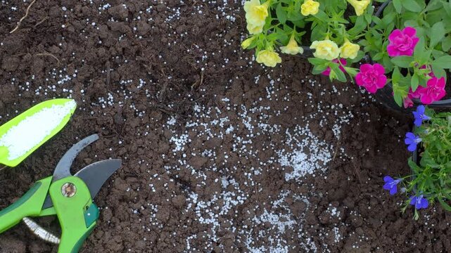 Zoom out Gardening tools: shovel, pruning shears, soil with fertilizers, planting plants, flowers, vegetables in ground, turning the camera. Spring garden, green color, saltpeter, magnesium, nitrogen