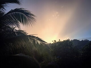 Magia crepuscular  © LuisGonzaga