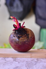 A beterraba &eacute; uma hortali&ccedil;a tuberosa, origin&aacute;ria da Europa, da fam&iacute;lia Quenopodi&aacute;cea, assim como a acelga e o espinafre