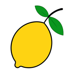 lemon vector illustration