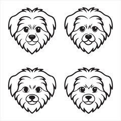 A Charming and Playful Havanese Dog, a Fluffy Cuban Dog Companion with a Silky Coat and Expressive Eyes, the National Dog of Cuba