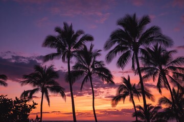Fototapeta premium Silhouetted palm trees against a vibrant sunset sky