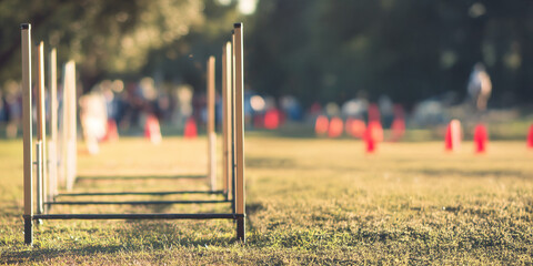 An empty dog agility course with jump obstacles set up on a grassy field, blurred cones, and people in the background
