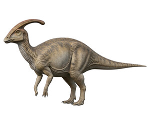 Parasaurolophus Transparent Background