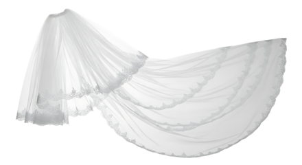 White Wedding Veil with Lace Trim image graphic