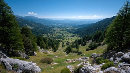 Obraz premium Lush Green Valley Under Clear Blue Sky with Distant Mountains and Rock Outcrops
