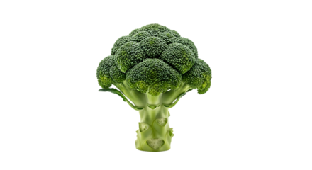 Fresh green broccoli vegetable isolated on black background healthy eating and diet food photography transparent background