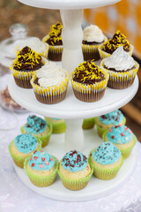 Delicious and vibrant dessert display featuring an array of colorful pastries