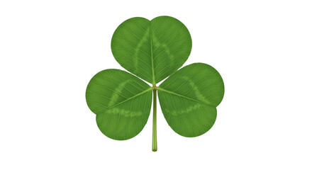 Isolated three-leaf clover Shamrock for Saint Patrick's Day holiday luck and Irish culture