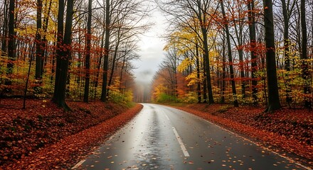 Obraz premium Autumn forest road