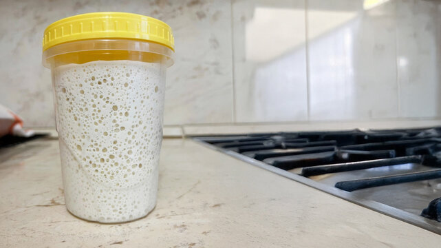 Fermented dough bubbles cheerfully in vibrant kitchen, evoking slow food joy and sourdough magic on Sourdough September