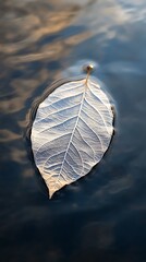 water reflection in water