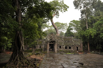 Ta Prohm temple, Cambodia
