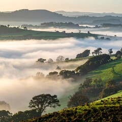 Misty valley landscape at dawn