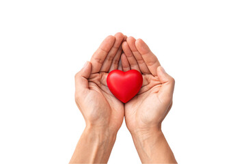 Fototapeta premium Cupped hands forming protective shelter around red heart, caring and nurturing gesture symbolizing love and protection, isolated on a transparent background