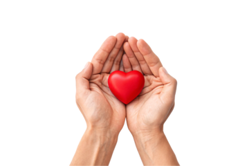 Cupped hands forming protective shelter around red heart, caring and nurturing gesture symbolizing love and protection, isolated on a transparent background
