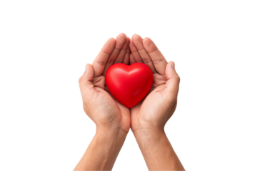 Open palms creating safe haven for red heart, gentle protective hand position showing care and tenderness, isolated on a transparent background