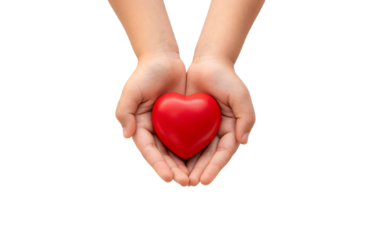 Pair of open palms cradling red heart from below, gentle protective gesture expressing care and affection, isolated on a transparent background