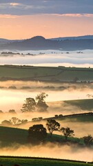 Misty valley landscape at sunrise