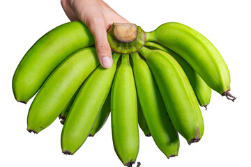 Hand holding a bunch of green bananas isolated on transparent background.