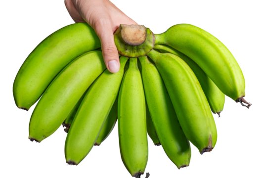 Hand holding a bunch of green bananas isolated on transparent background.
