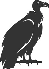 Vulture bird animal vector silhouette