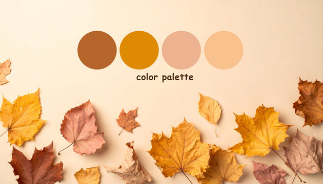 autumn color palette background