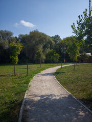 Obraz premium Curved pathway meanders through a lush green park, bordered by young trees and vibrant foliage, inviting visitors to explore the serene outdoor environment and enjoy nature's beauty