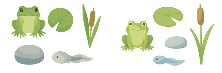 Colorful frogs and lily pads in a serene pond scene featuring tadpoles and marsh plants
