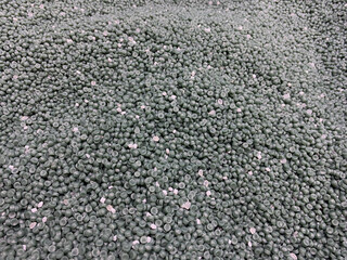 Recycled polypropylene pellets or PP granules. Random granulated plastic polymer. Production of plastic packaging
