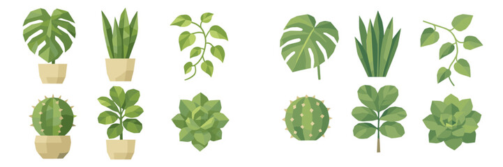 Variety of indoor plants displayed in simple pots, highlighting diverse shapes and textures in a bright setting