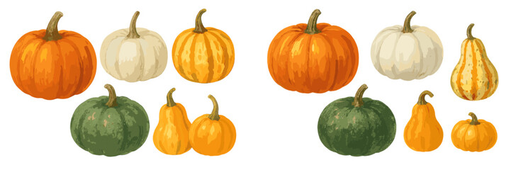 Colorful assortment of pumpkins and gourds in various shapes and sizes ideal for autumn decorations and harvest themes