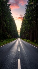 Road through a pine forest at sunset