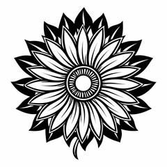 Sunflower Bloom Outline Vector