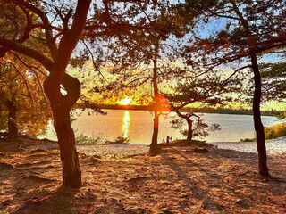 Pine trees foregrounding sunset reflecting across lake water