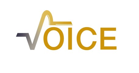 Expressive voice logo using a dynamic beatwave symbol to replace the V. Features vibrant gradients and smooth flow to embody communication, music, activism, and freedom of speech.