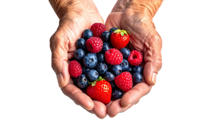 Elderly hands delicately cradling a vibrant assortment of fresh berries, offering a glimpse into nature's sweet bounty