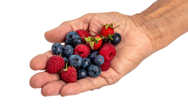 A hand holding a colorful mix of fresh berries