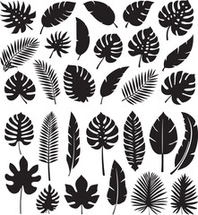 black and white silhouettes set of palm leaves