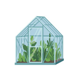 greenhouse, glass greenhouse, garden greenhouse, small greenhouse, plant greenhouse, indoor greenhouse, garden house, glass house, greenhouse with plants, home greenhouse, mini greenhouse, greenhouse 