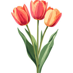 Hand Drawn Watercolor Tulip Flowers Illustration
