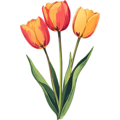 Naklejka premium Hand Drawn Watercolor Tulip Flowers Illustration
