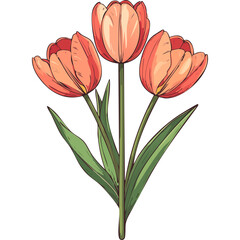 Fototapeta premium Hand Drawn Watercolor Tulip Flowers Illustration