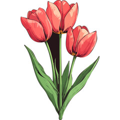 Hand Drawn Watercolor Tulip Flowers Illustration 