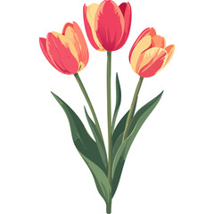 Hand Drawn Watercolor Tulip Flowers Illustration