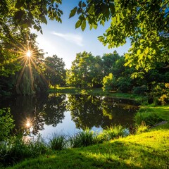 Peaceful pond at sunrise. Lush trees frame a still water