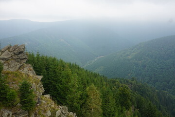 Panorama na górskie szczyty w Czechach. Skały i liczne góry pokryte sosnami. © Adam