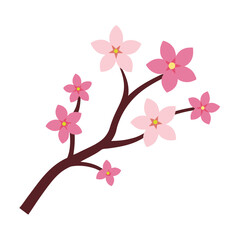 cherry blossom branch