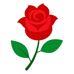 red rose isolated on white